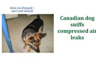 Cover to post Canadian dog sniffs compressed air leaks