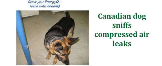 Cover to post Canadian dog sniffs compressed air leaks