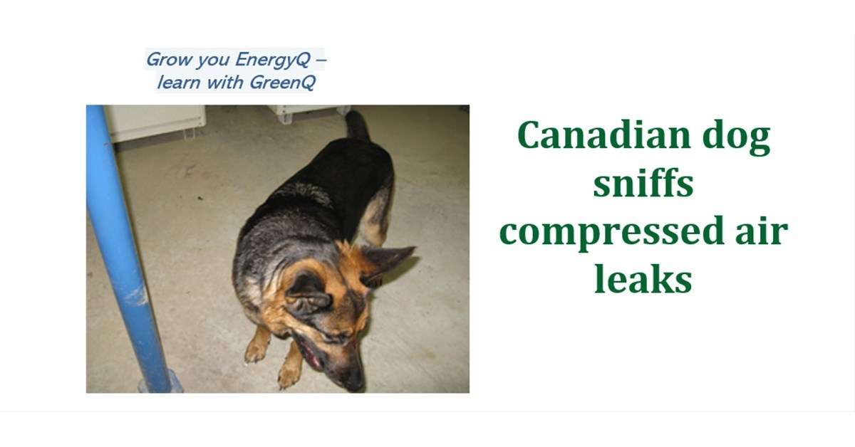 Cover to post Canadian dog sniffs compressed air leaks